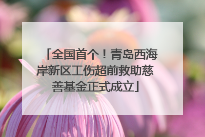 全国首个！青岛西海岸新区工伤超前救助慈善基金正式成立